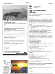 Síða 43