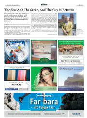 Síða 52
