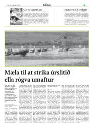 Síða 15