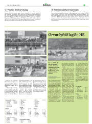 Síða 32