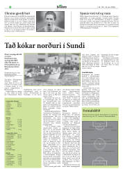 Síða 33