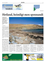 Síða 41