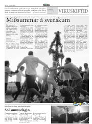 Síða 17
