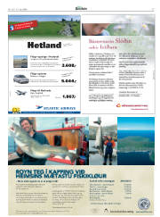 Síða 27