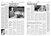 Síða 5