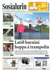Síða 1