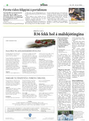 Síða 28