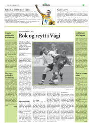Síða 29