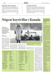Síða 32