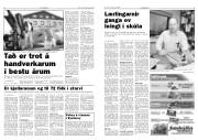 Síða 5