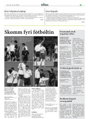 Síða 33