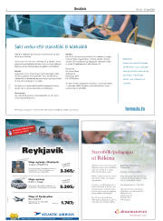 Síða 2