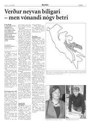 Síða 5