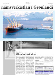 Síða 21