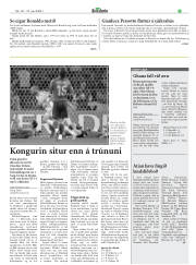 Síða 29