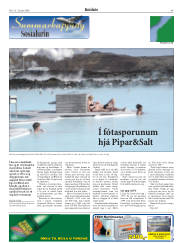Síða 41