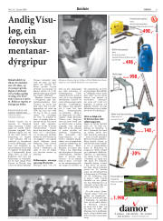 Síða 9
