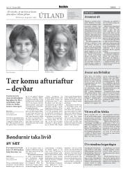 Síða 17