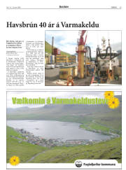 Síða 29