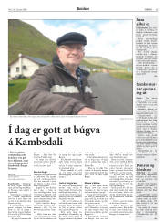 Síða 35