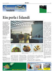 Síða 47