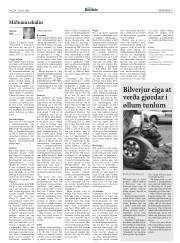 Síða 11