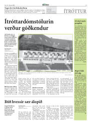Síða 19