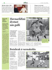 Síða 20