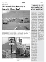 Síða 11