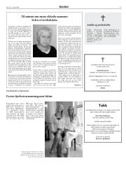 Síða 13