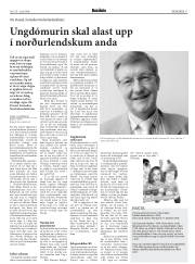 Síða 17