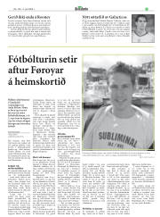 Síða 33