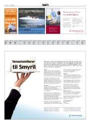 Síða 3