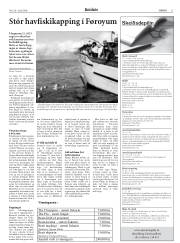 Síða 11