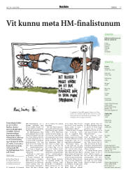 Síða 17
