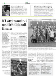 Síða 22