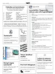 Síða 25
