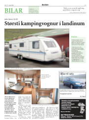Síða 19