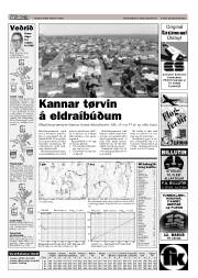 Síða 13