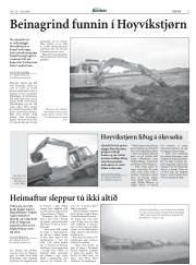Síða 5