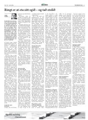 Síða 11