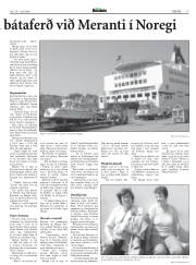 Síða 17