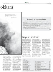 Síða 33