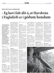 Síða 8