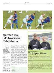 Síða 15