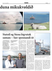 Síða 17