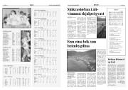 Síða 11