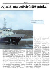 Síða 17