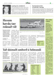 Síða 21
