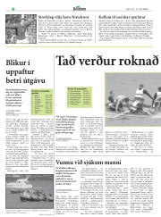 Síða 22